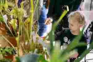 Potsdamer Tag der Wissenschaften 2017_6 © Eventfotografie.de