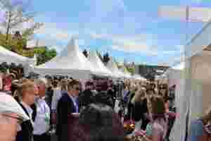 © proWissen Potsdam e.V.