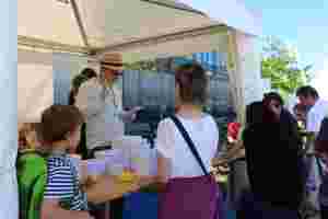 © proWissen Potsdam e.V.