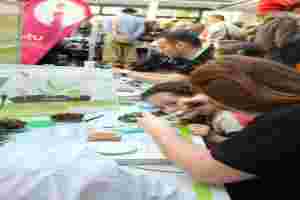 © proWissen Potsdam e.V.