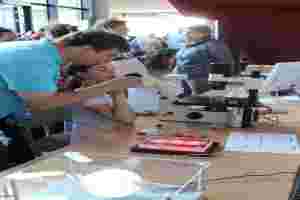 © proWissen Potsdam e.V.