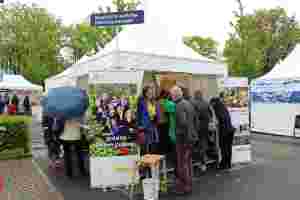 © proWissen Potsdam e.V.