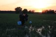 Studierende in der überfluteten Aue mit Amphibienfallen bei Sonnenuntergang 